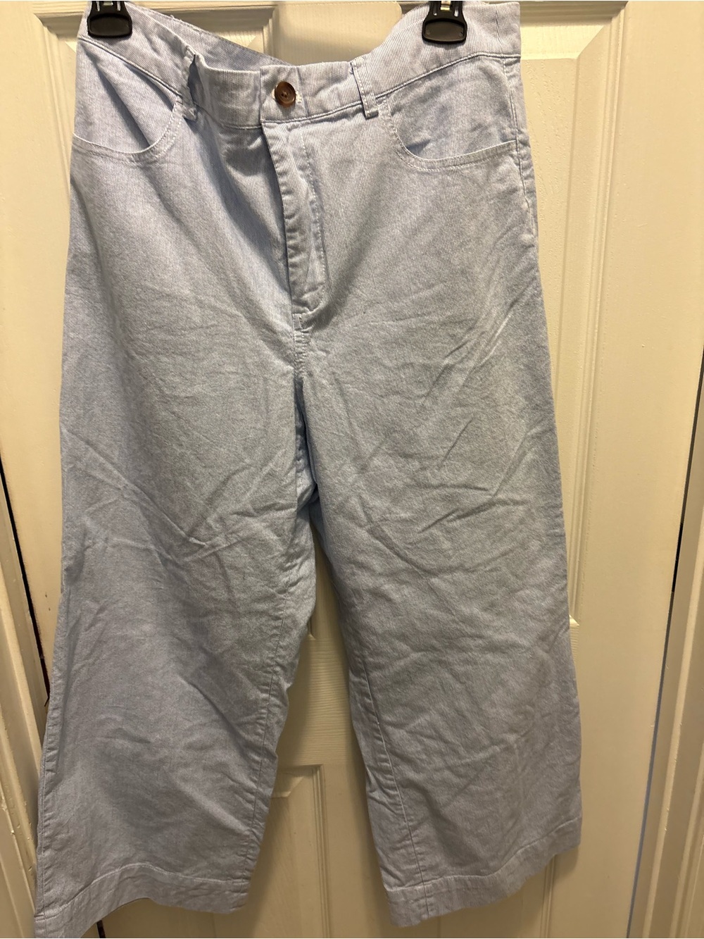 J. Crew Light Blue Wide Leg Pants